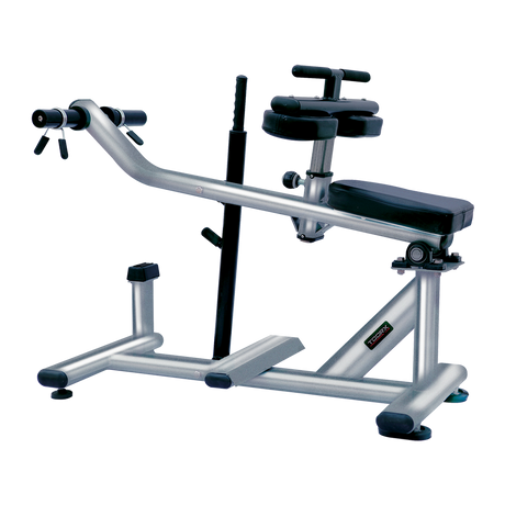 Panca Calf Raise Regolabile WBX 3000 LINEA TOORX STRENGTH PROFESSIONALE Colore Silver - TIMESPORT24